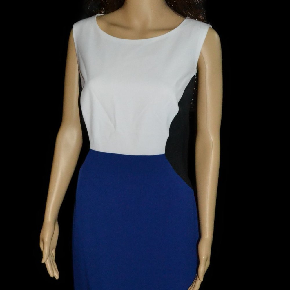 Evan Picone Black Label Sheath Dress